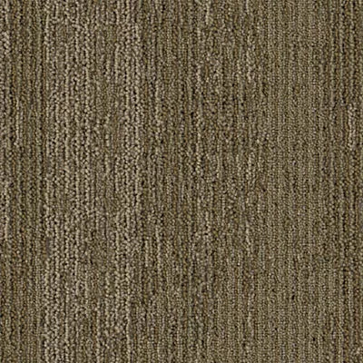 Drifted Ground BT389 - 12 in x 36 in Carpet Tile