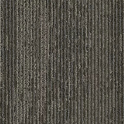 Drifted Ground BT389 - 12 in x 36 in Carpet Tile