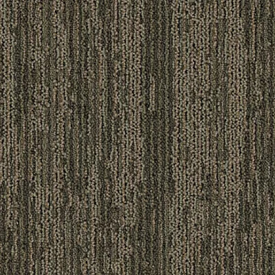Drifted Ground BT389 - 12 in x 36 in Carpet Tile