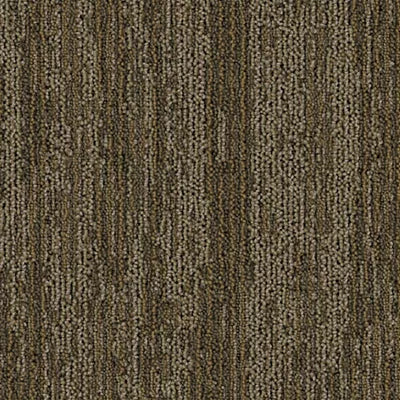 Drifted Ground BT389 - 12 in x 36 in Carpet Tile