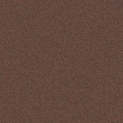 New Basics III BC398 - 12 ft Broadloom