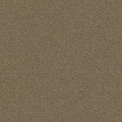 New Basics III BC398 - 12 ft Broadloom