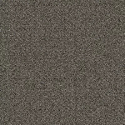 New Basics III BC398 - 12 ft Broadloom