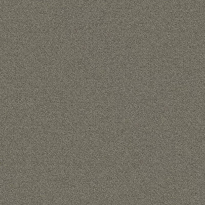 New Basics III BC398 - 12 ft Broadloom