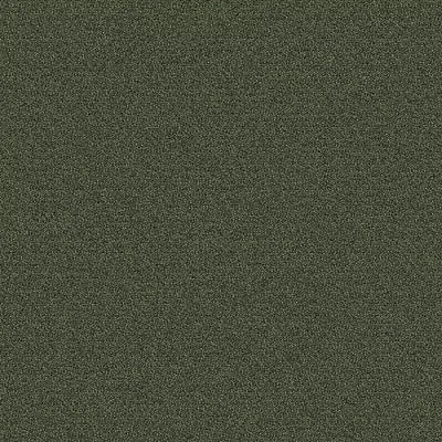 New Basics III 26 BC399 - 12 ft Broadloom