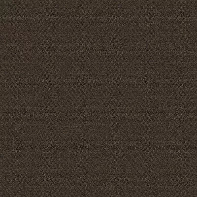 New Basics III 26 BC399 - 12 ft Broadloom