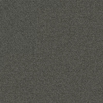 New Basics III Tile BT400 - 24 in x 24 in Carpet Tile