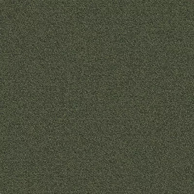 New Basics III Tile BT400 - 24 in x 24 in Carpet Tile