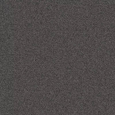 New Basics III Tile BT400 - 24 in x 24 in Carpet Tile