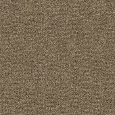 New Basics III Tile BT400 - 24 in x 24 in Carpet Tile
