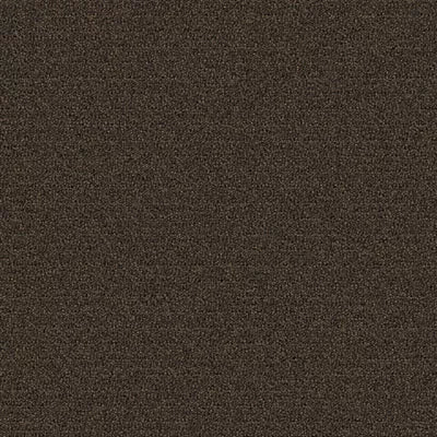 New Basics III Tile BT400 - 24 in x 24 in Carpet Tile