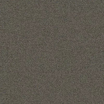 New Basics III Tile BT400 - 24 in x 24 in Carpet Tile