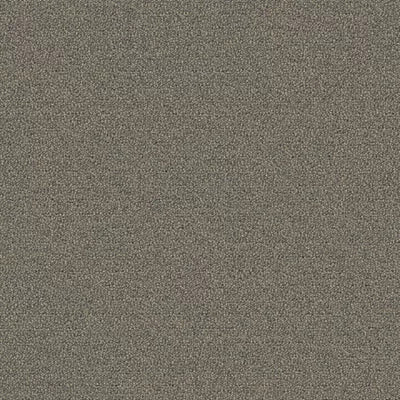 New Basics III Tile BT400 - 24 in x 24 in Carpet Tile