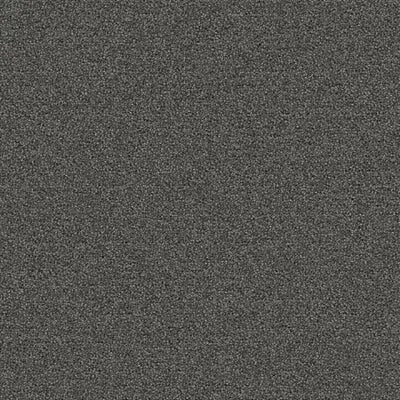 New Basics III Tile BT400 - 24 in x 24 in Carpet Tile