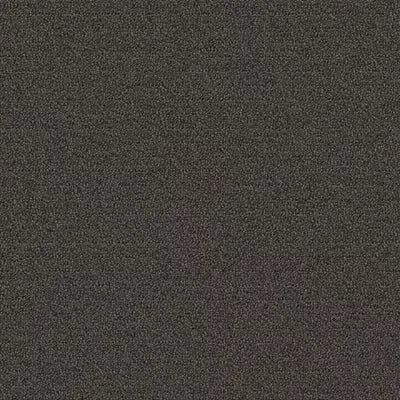 New Basics III Tile BT400 - 24 in x 24 in Carpet Tile