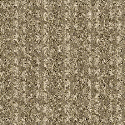 Broken Checks BC403 - 12 ft Broadloom