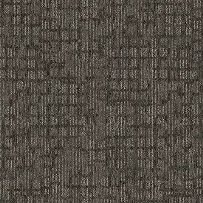 Solve II Tile BT416 - 24 in x 24 in Carpet Tile