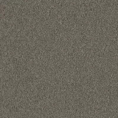 Creative Spark BT426 - 24 in x 24 in Carpet Tile