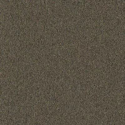 Creative Spark BT426 - 24 in x 24 in Carpet Tile