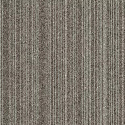 Draft Point BT427 - 24 in x 24 in Carpet Tile