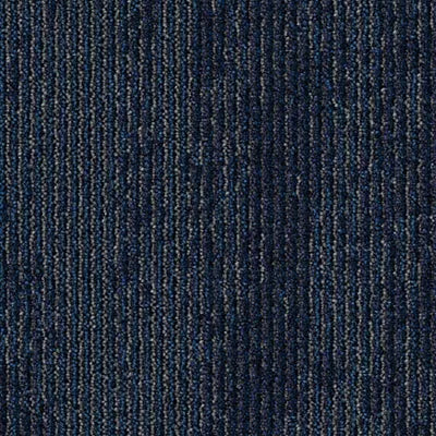 Shared Path BT429 - 12 in x 36 in Carpet Tile