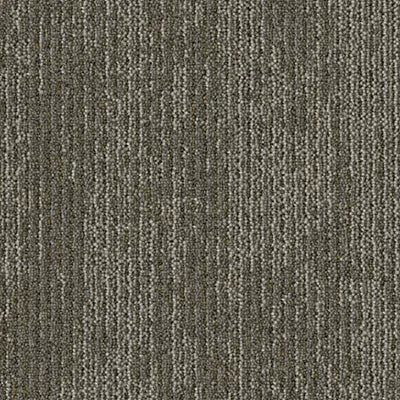 Shared Path BT429 - 12 in x 36 in Carpet Tile