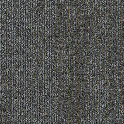 Shared Path BT429 - 12 in x 36 in Carpet Tile