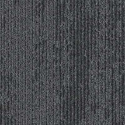 Shared Path BT429 - 12 in x 36 in Carpet Tile