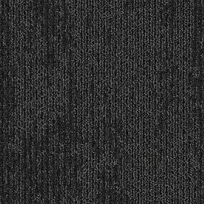 Shared Path BT429 - 12 in x 36 in Carpet Tile