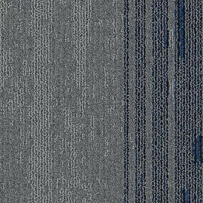 Disruptive Path BT430 - 12 in x 36 in Carpet Tile