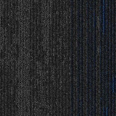 Disruptive Path BT430 - 12 in x 36 in Carpet Tile