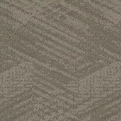 Academic View BT433 - 24 in x 24 in Carpet Tile