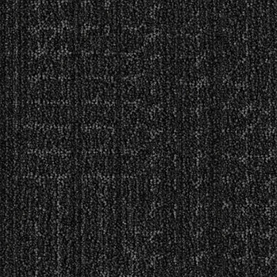 Hidden Dimension BT497 - 12 in x 36 in Carpet Tile