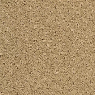 Hue-ology BC573 - 12 ft Broadloom