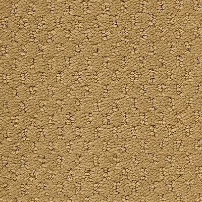 Hue-ology BC573 - 12 ft Broadloom