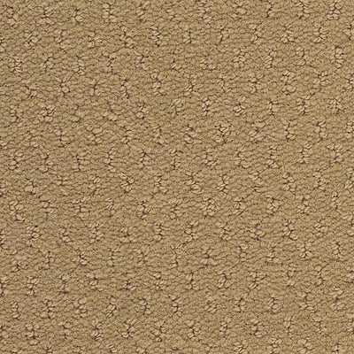 Hue-ology BC573 - 12 ft Broadloom