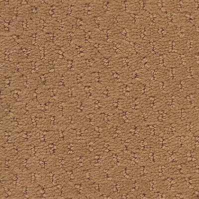 Hue-ology BC573 - 12 ft Broadloom