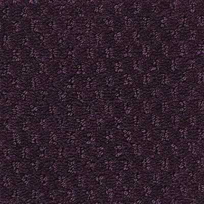 Hue-ology BC573 - 12 ft Broadloom
