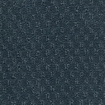 Hue-ology BC573 - 12 ft Broadloom