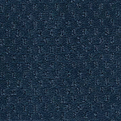 Hue-ology BC573 - 12 ft Broadloom