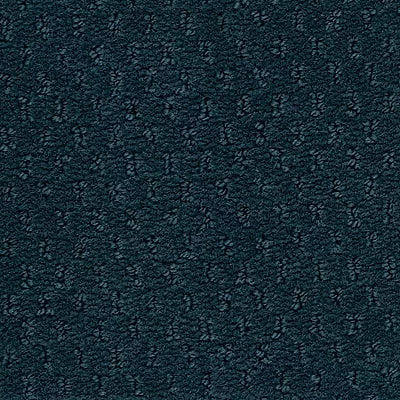 Hue-ology BC573 - 12 ft Broadloom