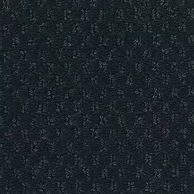 Hue-ology BC573 - 12 ft Broadloom