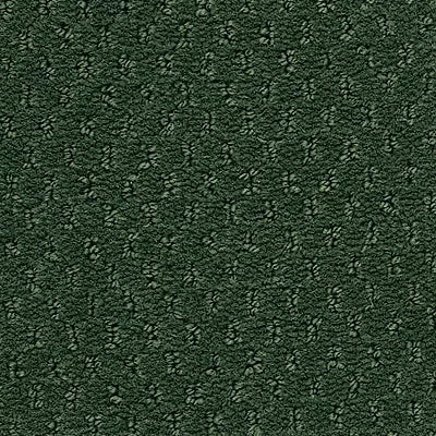 Hue-ology BC573 - 12 ft Broadloom