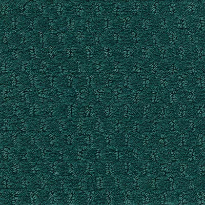 Hue-ology BC573 - 12 ft Broadloom