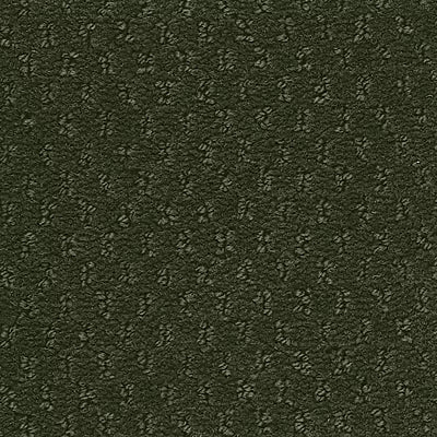 Hue-ology BC573 - 12 ft Broadloom