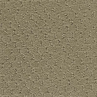 Hue-ology BC573 - 12 ft Broadloom
