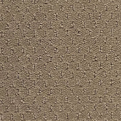 Hue-ology BC573 - 12 ft Broadloom