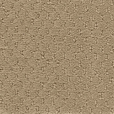 Hue-ology BC573 - 12 ft Broadloom
