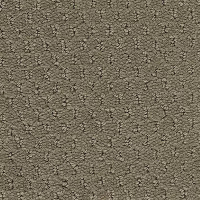 Hue-ology BC573 - 12 ft Broadloom