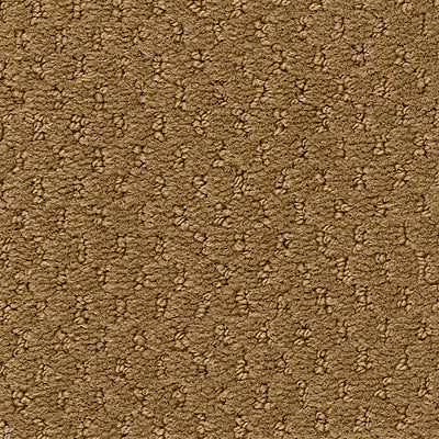 Hue-ology BC573 - 12 ft Broadloom